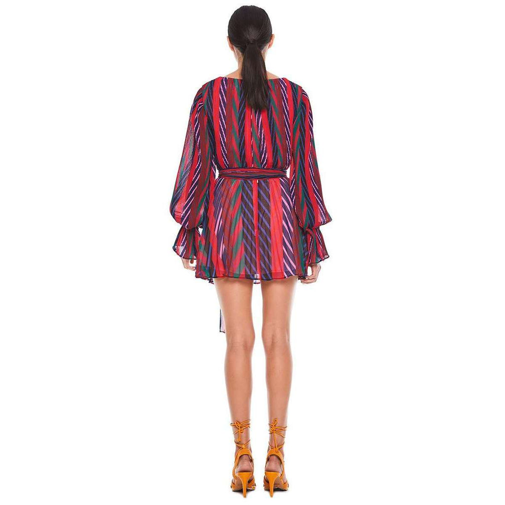 Sugar and Spice Long Sleeve Mini Dress